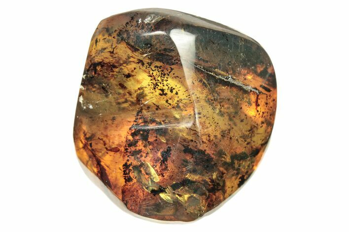 Polished Chiapas Amber ( g) - Mexico #274434